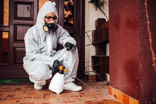 Reliable Cockroach Control contractor in Thomasville, GA by Nex Pest Control